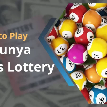 How to Play the Karunya Plus Lottery | A Definite Guide for Winning