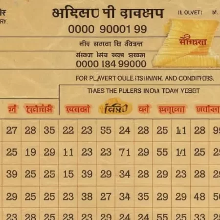 Lottery Maharashtra Gov In Today: Get the Latest Results and Winning Numbers!