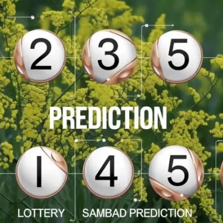 Lottery Sambad Prediction: Analyzing Trends for the Best Picks