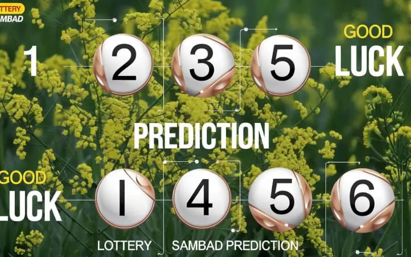 lottery sambad prediction